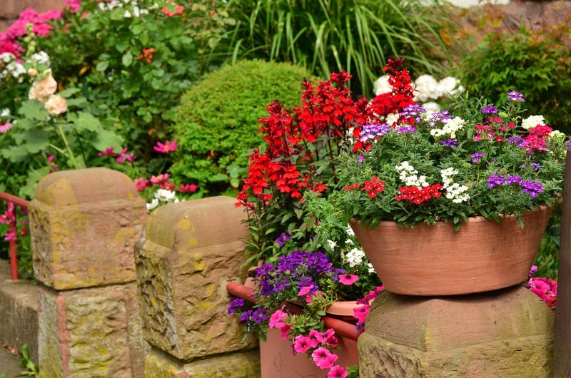 Balcony Planting